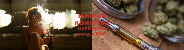сатива Алексин