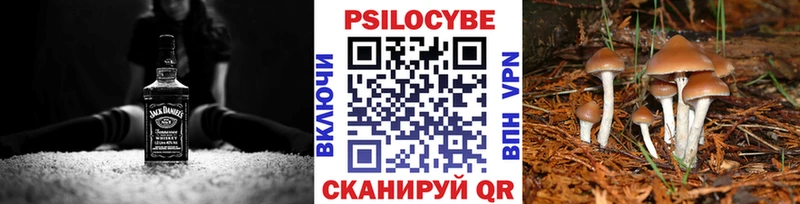 Псилоцибиновые грибы мухоморы  Краснознаменск 