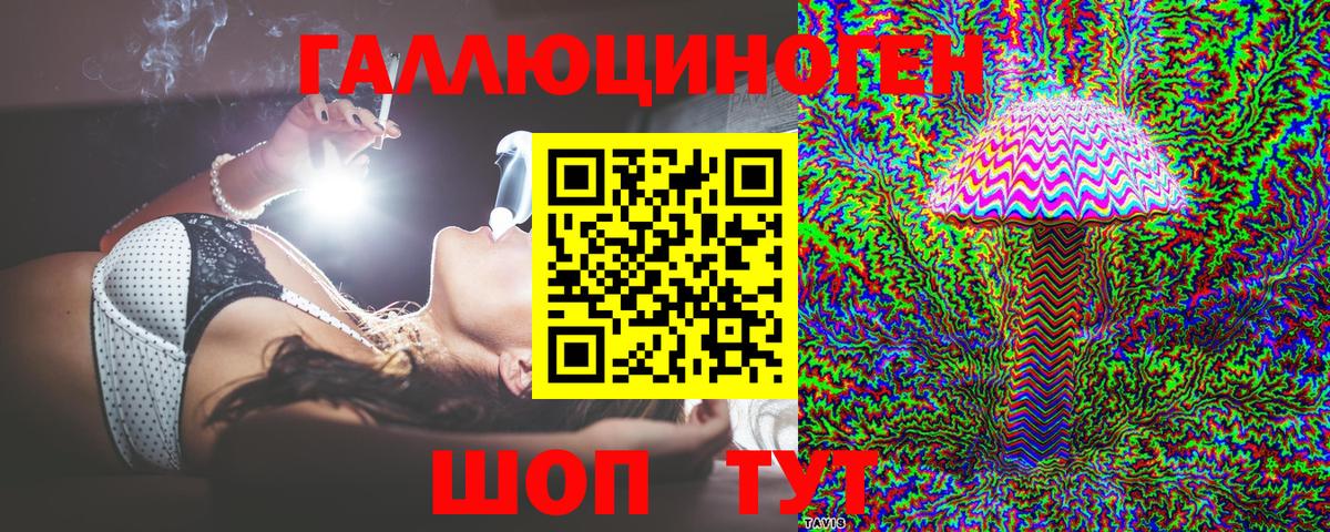 Краснознаменск  наркотики  Вход с VPN  Галлюциногенные грибы Psilocybine cubensis 